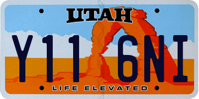 UT license plate Y116NI
