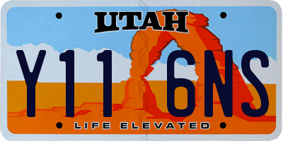 UT license plate Y116NS