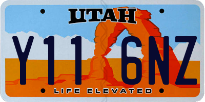 UT license plate Y116NZ