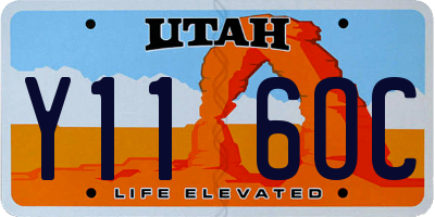 UT license plate Y116OC