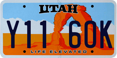 UT license plate Y116OK