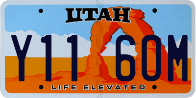 UT license plate Y116OM
