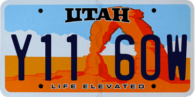 UT license plate Y116OW