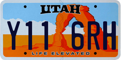 UT license plate Y116RH