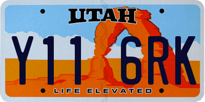 UT license plate Y116RK