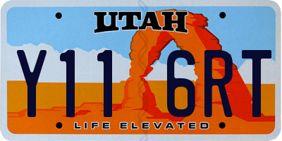 UT license plate Y116RT