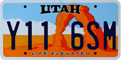 UT license plate Y116SM