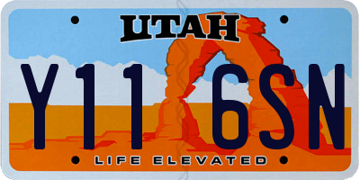 UT license plate Y116SN