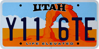 UT license plate Y116TE