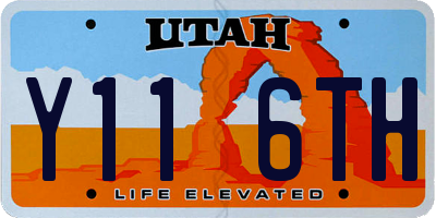 UT license plate Y116TH