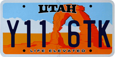 UT license plate Y116TK