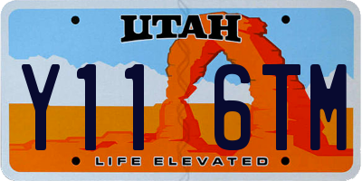 UT license plate Y116TM
