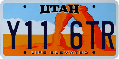 UT license plate Y116TR