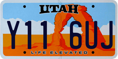 UT license plate Y116UJ