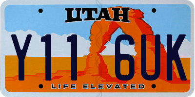 UT license plate Y116UK