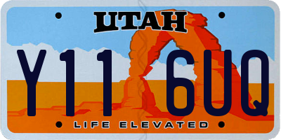 UT license plate Y116UQ