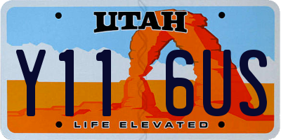 UT license plate Y116US