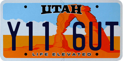 UT license plate Y116UT