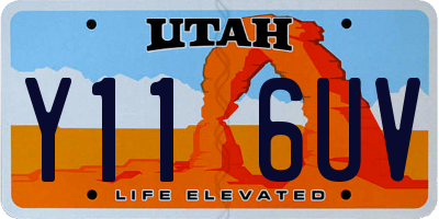 UT license plate Y116UV