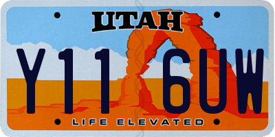 UT license plate Y116UW
