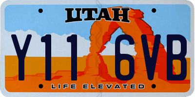 UT license plate Y116VB