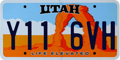 UT license plate Y116VH