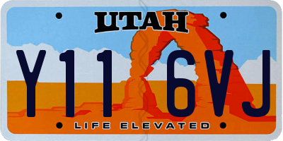 UT license plate Y116VJ