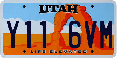 UT license plate Y116VM
