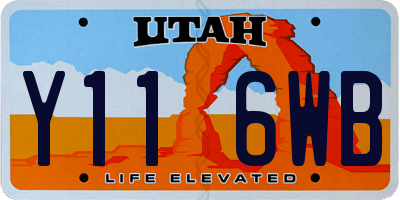 UT license plate Y116WB