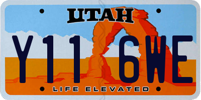 UT license plate Y116WE