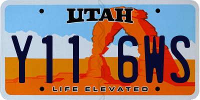 UT license plate Y116WS