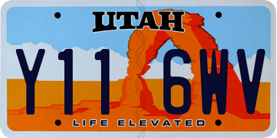 UT license plate Y116WV