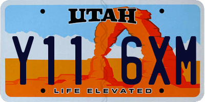 UT license plate Y116XM