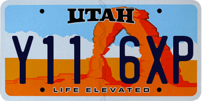 UT license plate Y116XP