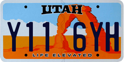 UT license plate Y116YH