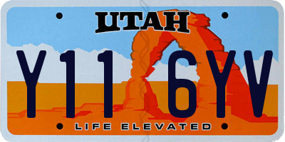UT license plate Y116YV