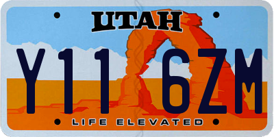 UT license plate Y116ZM