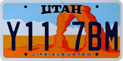 UT license plate Y117BM