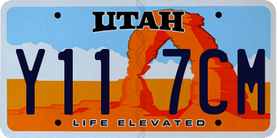 UT license plate Y117CM