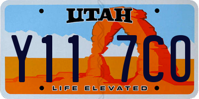 UT license plate Y117CO