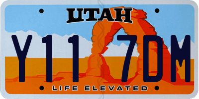 UT license plate Y117DM