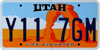 UT license plate Y117GM