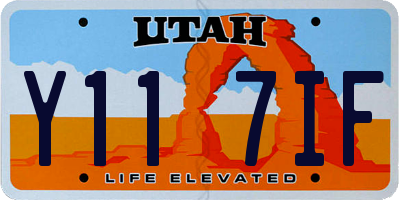 UT license plate Y117IF