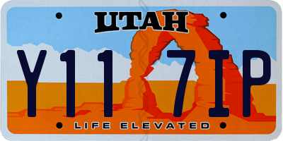 UT license plate Y117IP