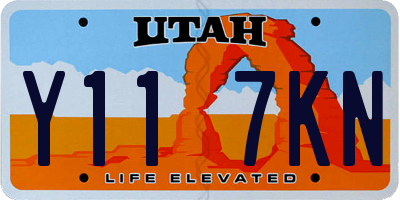 UT license plate Y117KN