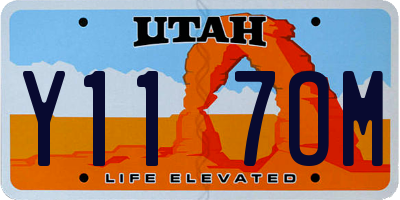 UT license plate Y117OM