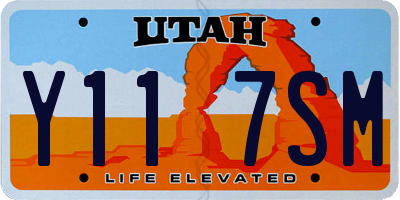 UT license plate Y117SM