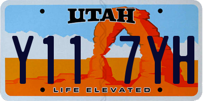 UT license plate Y117YH