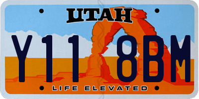 UT license plate Y118BM