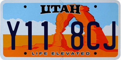 UT license plate Y118CJ